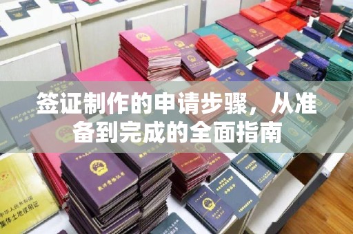 平远签证制作的申请步骤，从准备到完成的全面指南