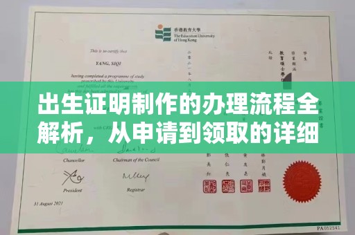托克托出生证明制作的办理流程全解析，从申请到领取的详细指南